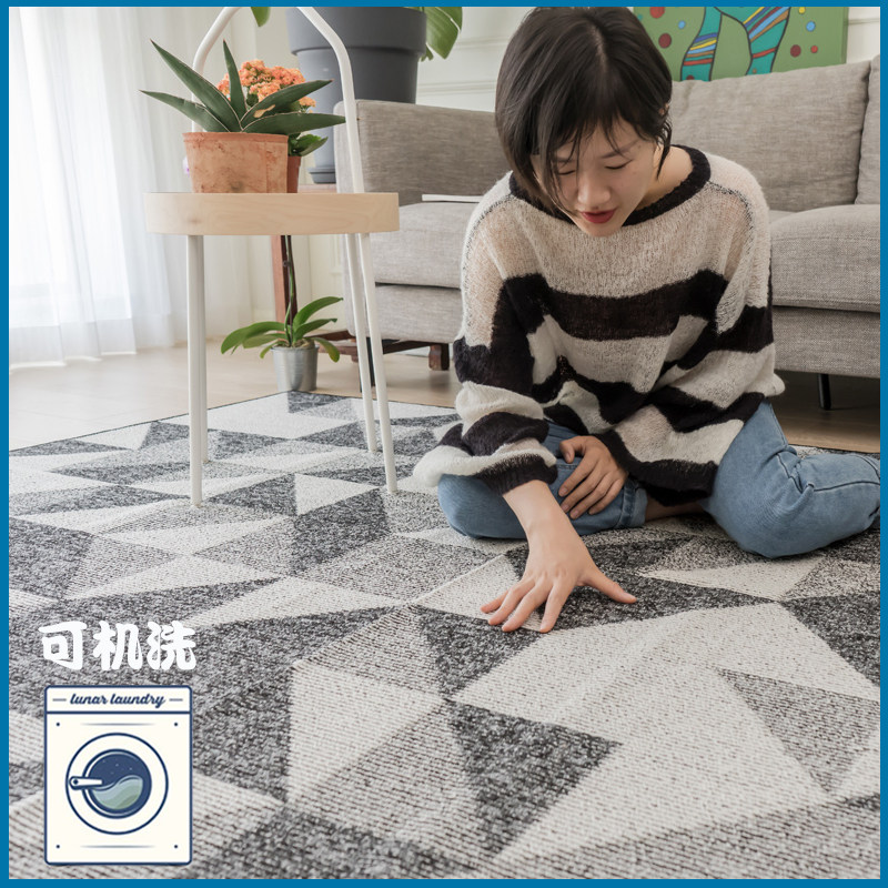 Black and white geometric living room carpet summer thin sofa coffee table cushion modern minimalist bedroom bedside blanket home machine washable