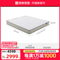 Gujia Home Furnishing Firm Sleeping Feel Neck Protector and Waist Protector Breathable Bedroom Double 1 8 Meter Simmons Mattress M1310
