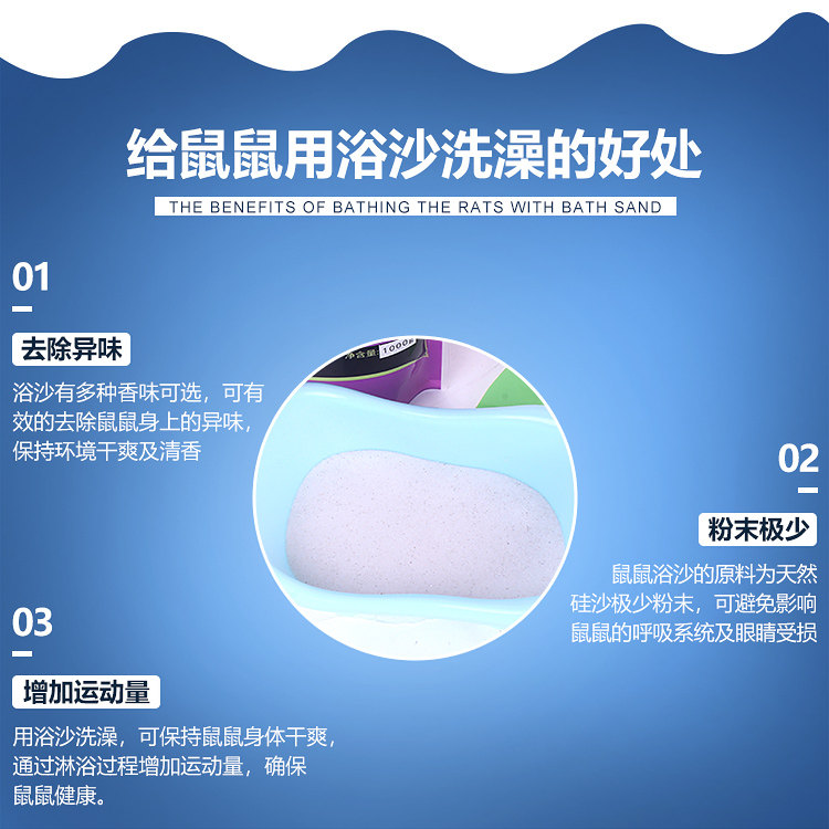 1_05.jpg