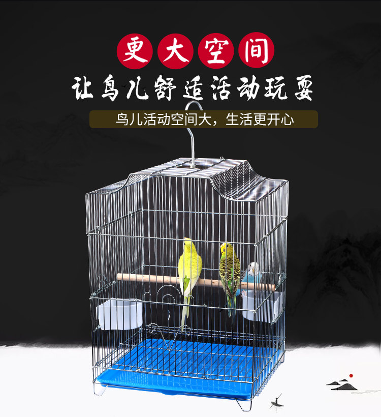 402D Bird Cage_04.jpg