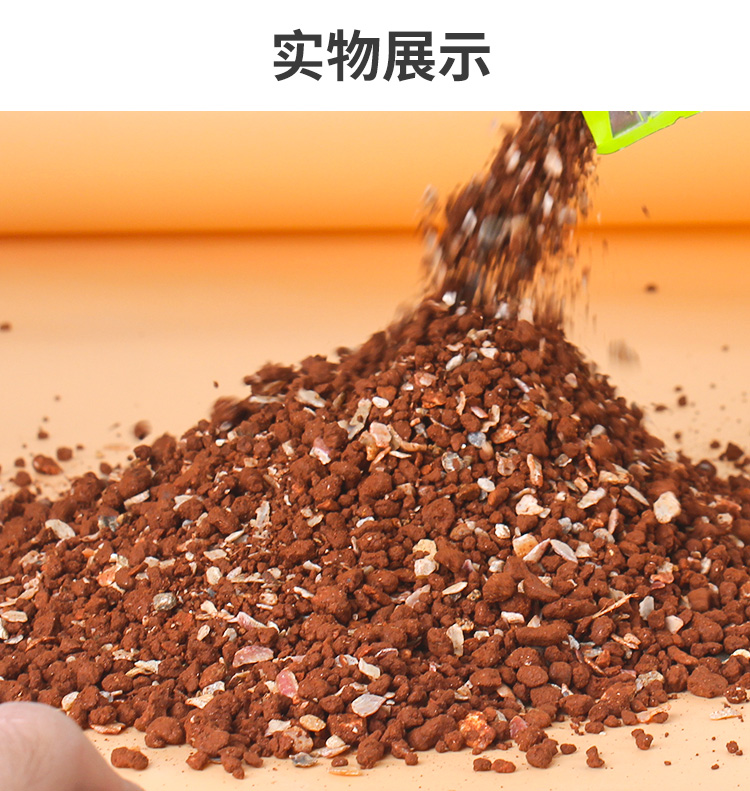 Cao Canxi Budgerigar Pigeon Sức khỏe Cát Sức khỏe Thư Thư Pigeon Pigeon Cung cấp thức ăn cho chim Thức ăn cho chim bồ câu - Chim & Chăm sóc chim Supplies long chim chao mao dep