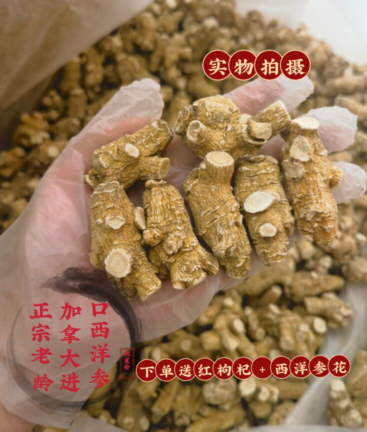 云叶滋补参茸批发