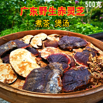 Guangdong South Kunshan Chi Lingche Special fresh dry dry fresh branch of old Gamud tea slice wild 500g