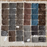 Южная Корея место покупки эмис разбитый кешью цветочный цветок леопардовый пакет сумки для покупки сумки для плеча сумки для ткани песня хе kyo тот же параграф