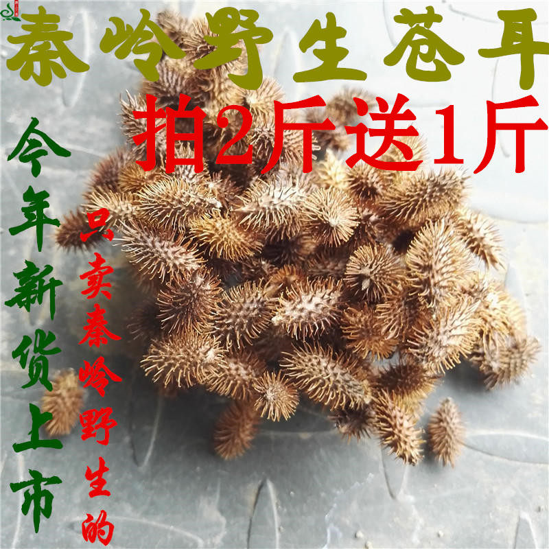 West Qinling Wild Xanthium Dry Traditional Chinese Medicine Xanthium Xanthium Xanthium Xanthium Xanthium Xanthium 500g Pat 2 to 1kg