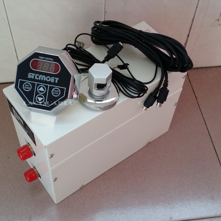 Factory direct sales China Guangdong sauna steam machine Wet steam real estate generator Household single-phase sweat steam equipment 3KW