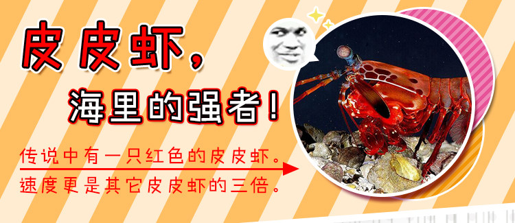 Coussin Manga MOEYU   - Ref 2692301 Image 18