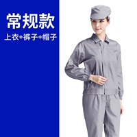 Серый обычный набор соответствующий шап