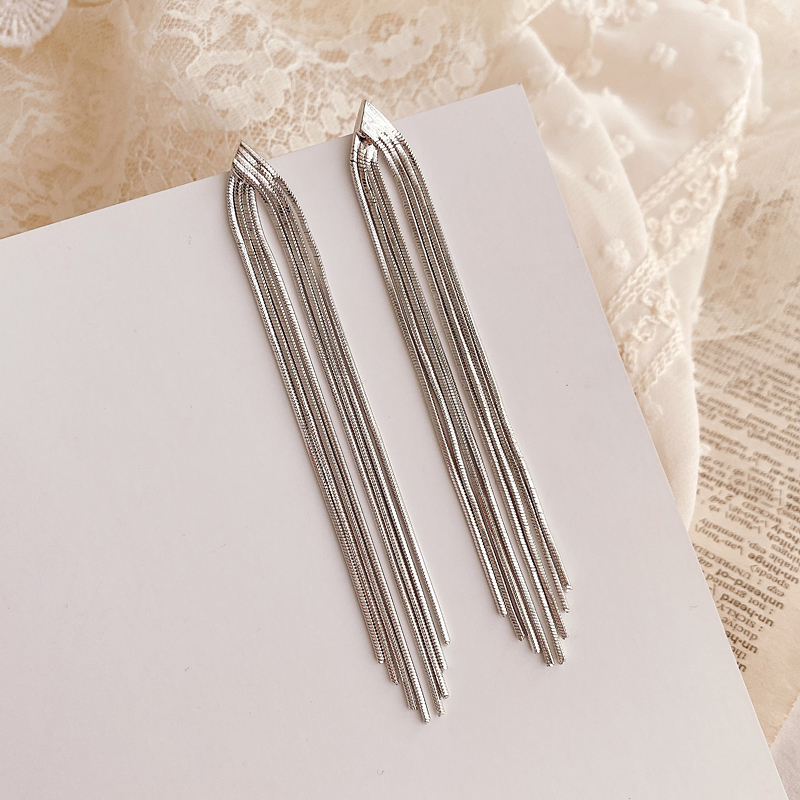 French tassel earrings light luxury high-end temperament simple earrings long 925 silver needle earrings female niche design