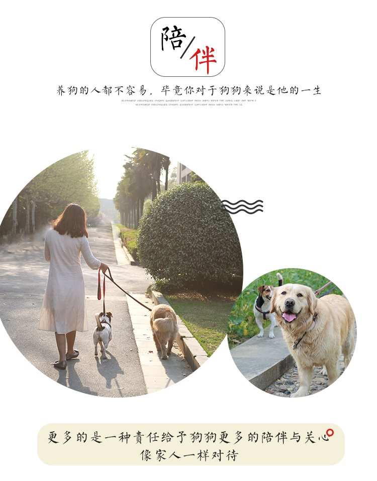 Hoa chị em nhà bếp riêng vật nuôi trứng lòng đỏ bột chó lecithin làm đẹp bổ sung protein dinh dưỡng mèo 200g - Cat / Dog Health bổ sung sữa bột cho mèo