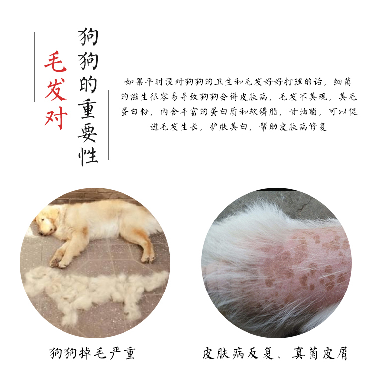 Hoa chị em nhà bếp riêng vật nuôi trứng lòng đỏ bột chó lecithin làm đẹp bổ sung protein dinh dưỡng mèo 200g - Cat / Dog Health bổ sung sữa bột cho mèo