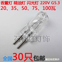 G5 3 220V 20W 35W 75W 100W Molding Lights Aromatic Lights Bubbles Lamp Bed Table Lights