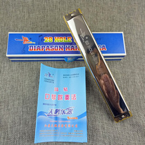Swan 28 hole harmonica playing harmonica accent C tone Wide Range Advanced harmonica send piano cloth