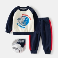 Кремовая белая акула