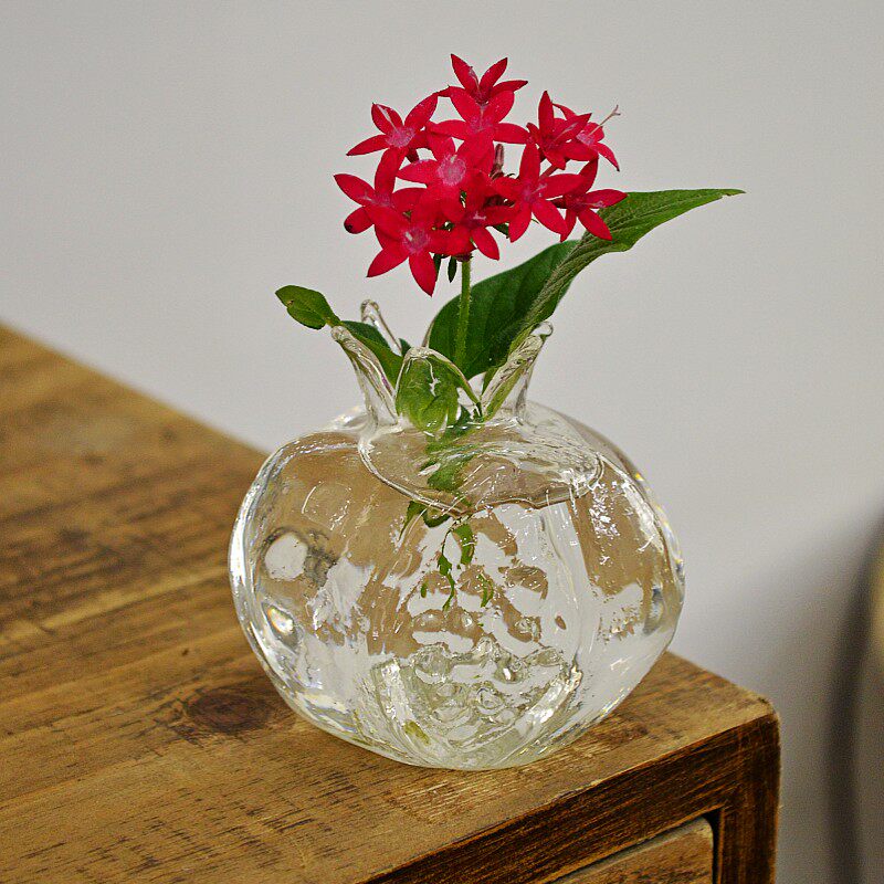 Elandil mini flower glass small pomegranate house vase, a branch every day, a different mood every day