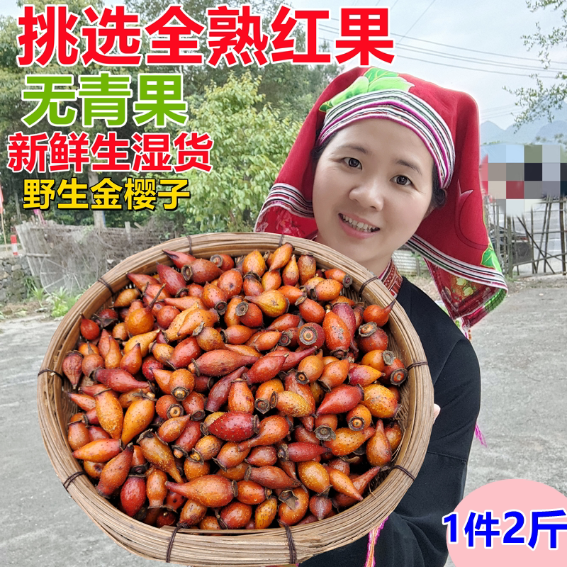 Golden cherry wild fresh cold storage raw wet fresh fruit prickly pear male wine Chinese herbal medicine selection mature golden cherry