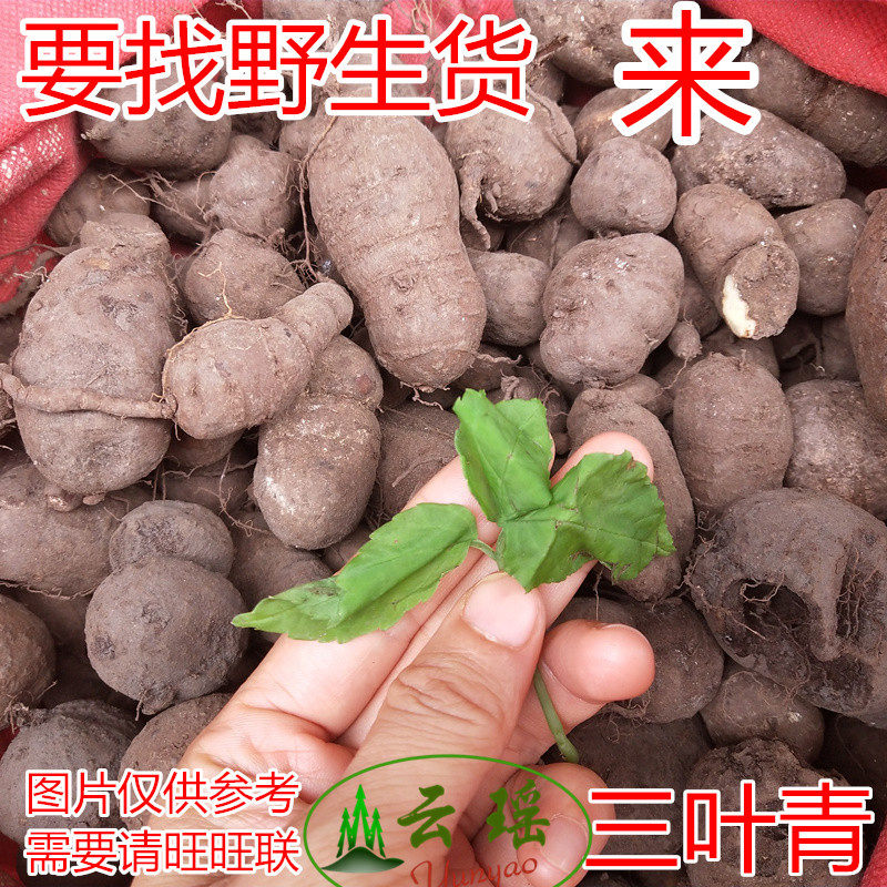 Yao Shan wild three-leafed green Chinese herbal medicine hanging gourd silk thread hanging Admiralty with lower heat and children with high fever and no retreat