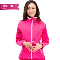 Роза красных