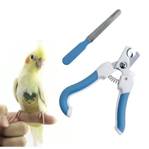 Бесплатная доставка птица с ногтями вырезать попугай для ногтей.
