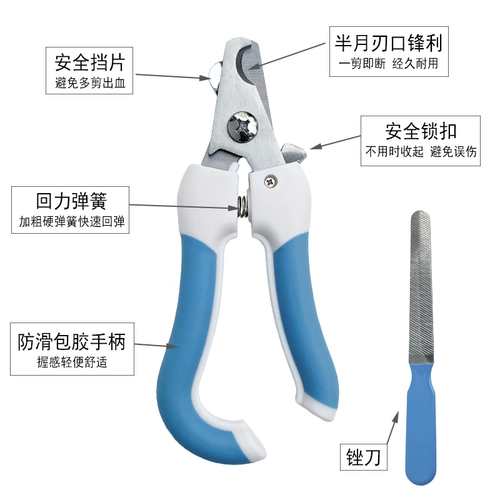 Бесплатная доставка птица с ногтями вырезать попугай для ногтей.