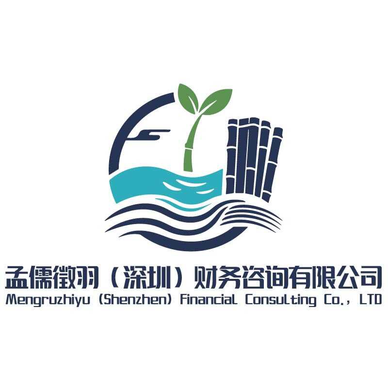 孟儒徵羽财税代理记账深圳工作室企业店的LOGO