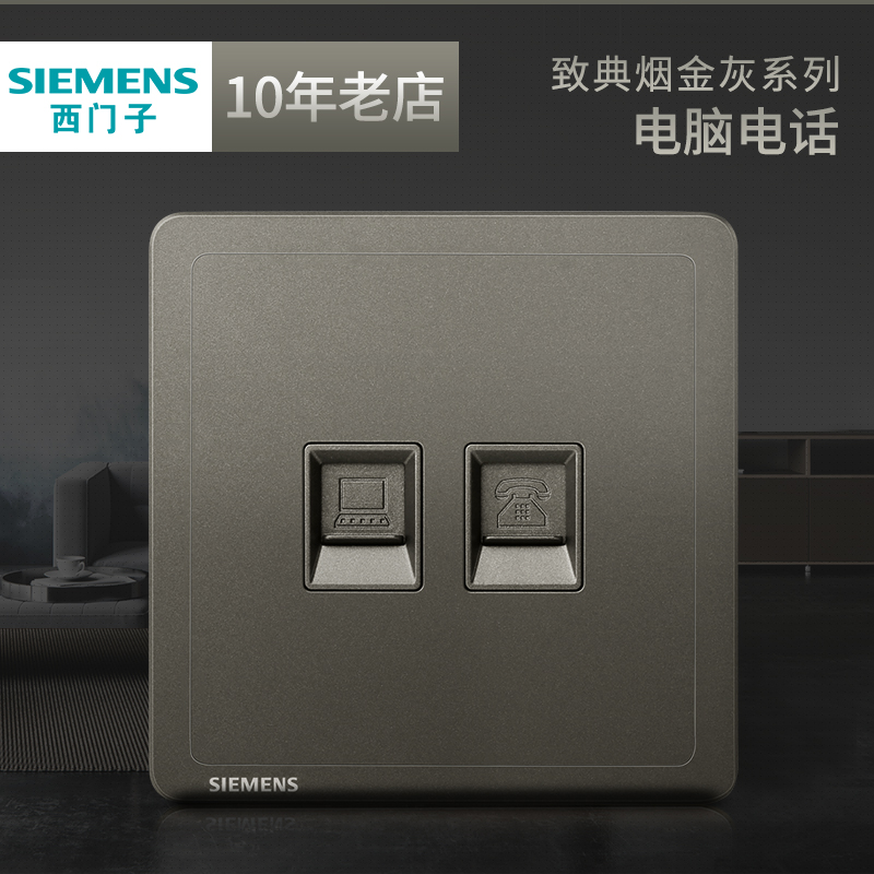 Siemens Telephone Computer Network Route 2-in -1 Socket to Dian Smoke Gold Grey Silver Network Home Dark Panel