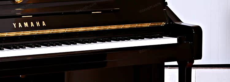 Đinh Đinh Tần Tần Piano Upright Piano Bắc Kinh Thượng Hải Cho thuê Piano Cho người mới bắt đầu Yamaha YA118CNS piano casio