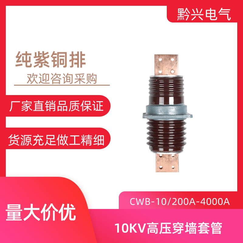 Outdoor high voltage CWB-10KV 2000A-3150A-4000A double copper row ceramic anti-fouling embedded wall bushing