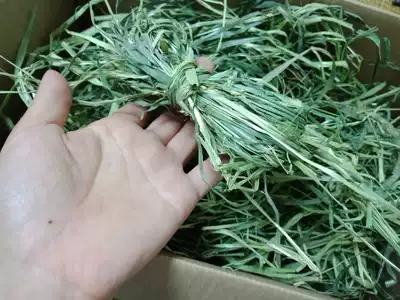 (Co Majia hand-baled forage) 5 packs*21 years of hand-selected high-quality baled Timothy grass 1 kg pack