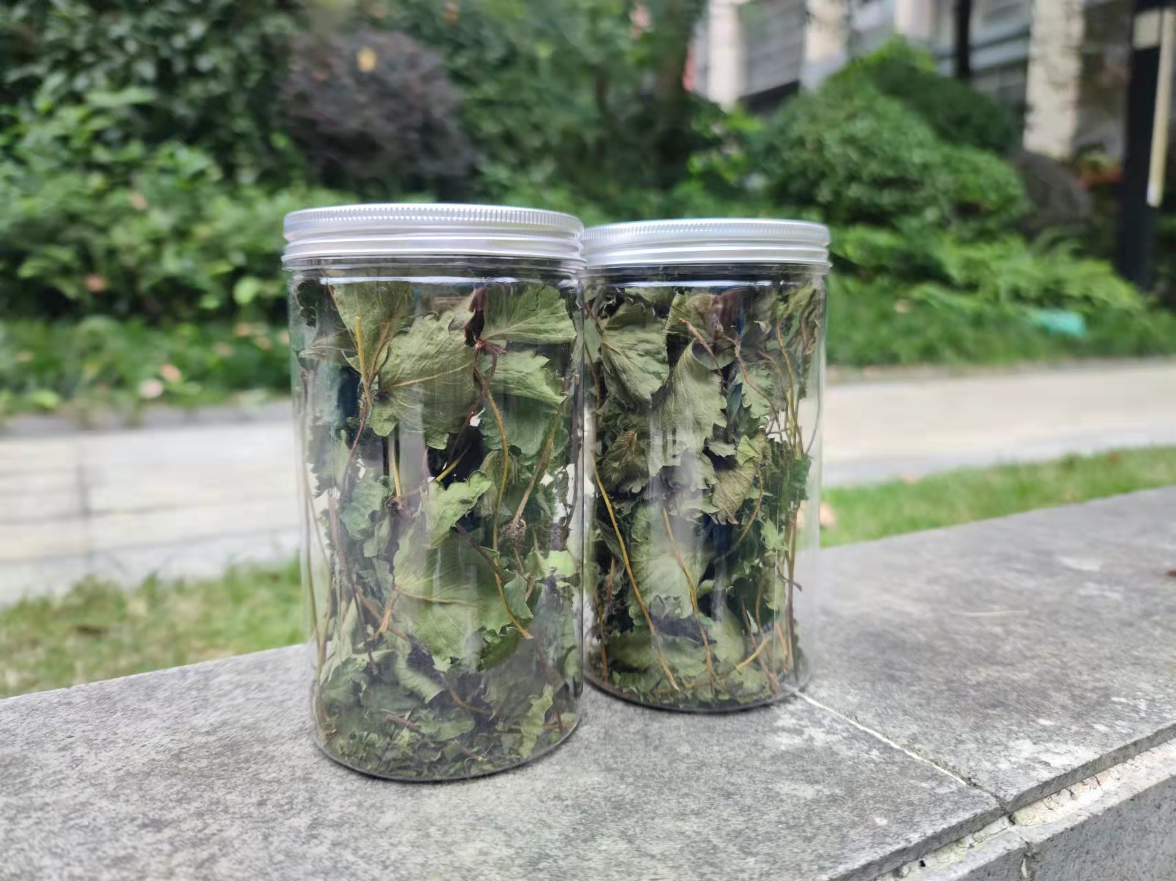 Co Max Home - made Rabbit Dragon Cat snacks · Naturally baked strawberry leaves