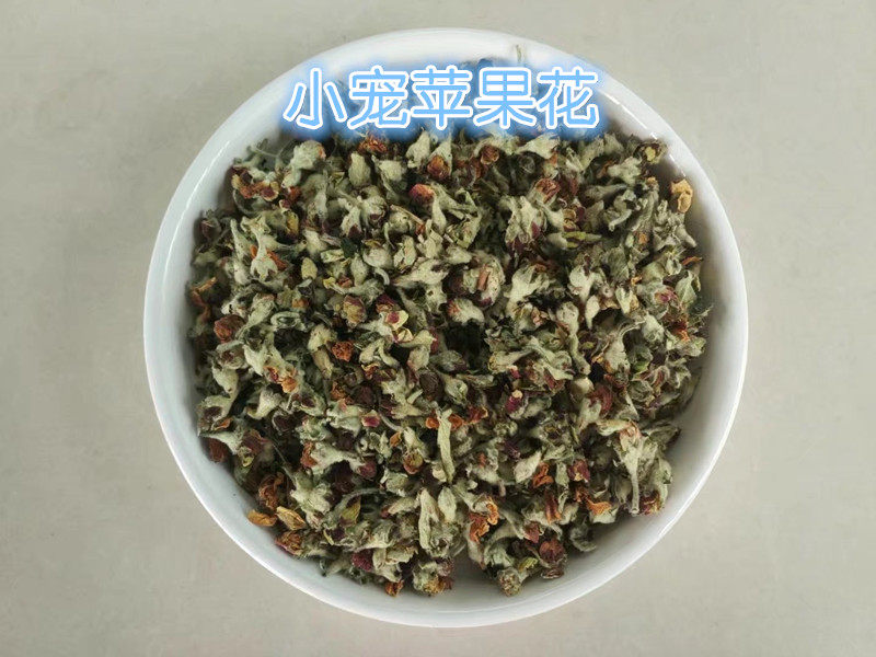 CO Maxjiazhu Zero Naturally baked apple flowers pet snacks help digest beauty 15G assembly