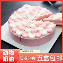 Colorful Roses Lychee Mousse Frozen Cake Coffee Bean Dessert Net Red Snacks Afternoon Tea Hysteria Thaw Ready-to-eat