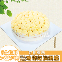 Colorful Bean Milk Cake Plyo Colorful Birthday Gift Frozen Afternoon Tea Net Red Coffee Bread Thaw Ready-to-eat