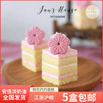 Brief House Peach Blossom Burning Frozen Cake Afternoon Tea Break Little West Point Pastry Coffee Hall Dessert Buffet Baby Dinner