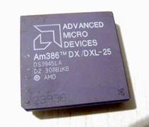 Chip collection AMD AM386DX DXL-25 in the chip collection