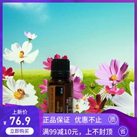 doTERRAl Dolce Clove Tinh dầu đơn phương 15ml Đau răng Calm Kháng khuẩn làm dịu Stressful Headache Authentic - Tinh dầu điều trị tinh dầu bưởi