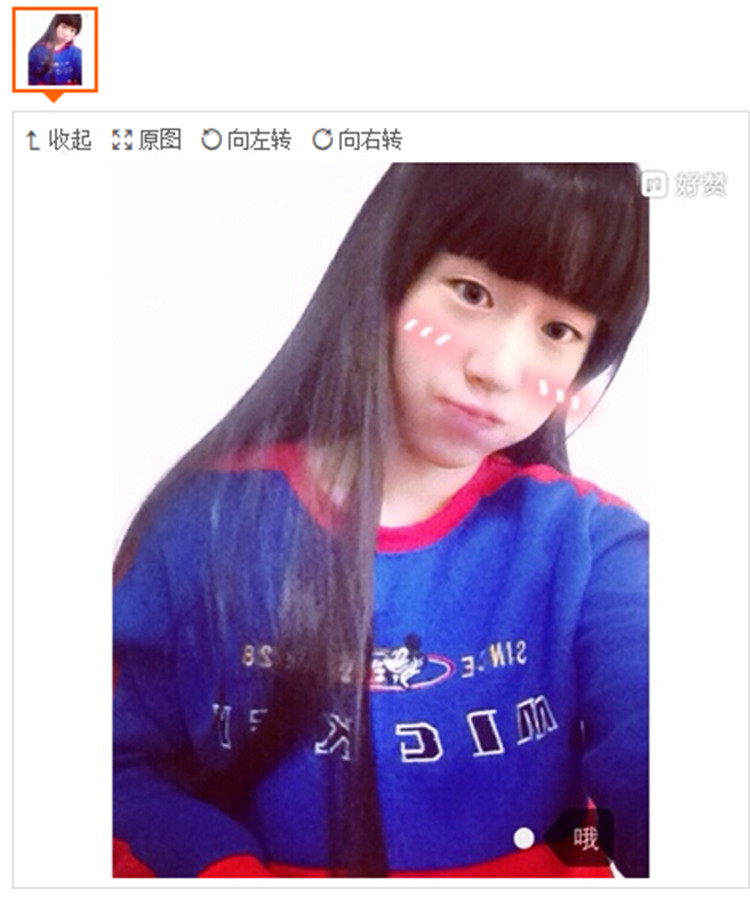 Perruque ANNA LUO  .  Long cheveux raides - Ref 2607306 Image 14