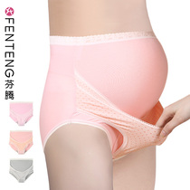 Fenteng maternity underwear cotton crotch support belly high waist pregnancy maternity mid-pregnancy late shorts head breathable briefs