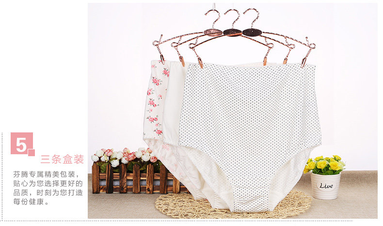 Slip jeunesse U5210 - Ref 667873 Image 14