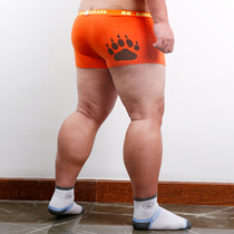 D4BEARS for bear design bear claw home cartoon animation machine bear youth cotton large size boxer four corner underwear