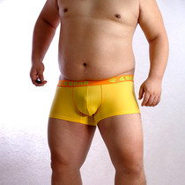 Bear claw print for bear Design men sexy comfortable fat bear plus fat large size excellent Bear Flat corner four corner inner pants