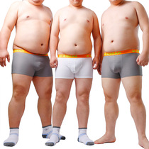 Design large size for bears men breathable mesh loose sexy comfortable flat corner bear claw print flat corner inner pants