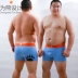 Được thiết kế cho gấu, vuốt gấu, mỡ nam, XL, cotton béo, eo cao thoải mái, quần đùi dài bốn góc, nam quần áo lót Eo cao