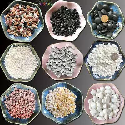 Fleshy paved stone rain flower stone Pebble flower potted multicolored stone fish tank white fine sand gravel Outdoor