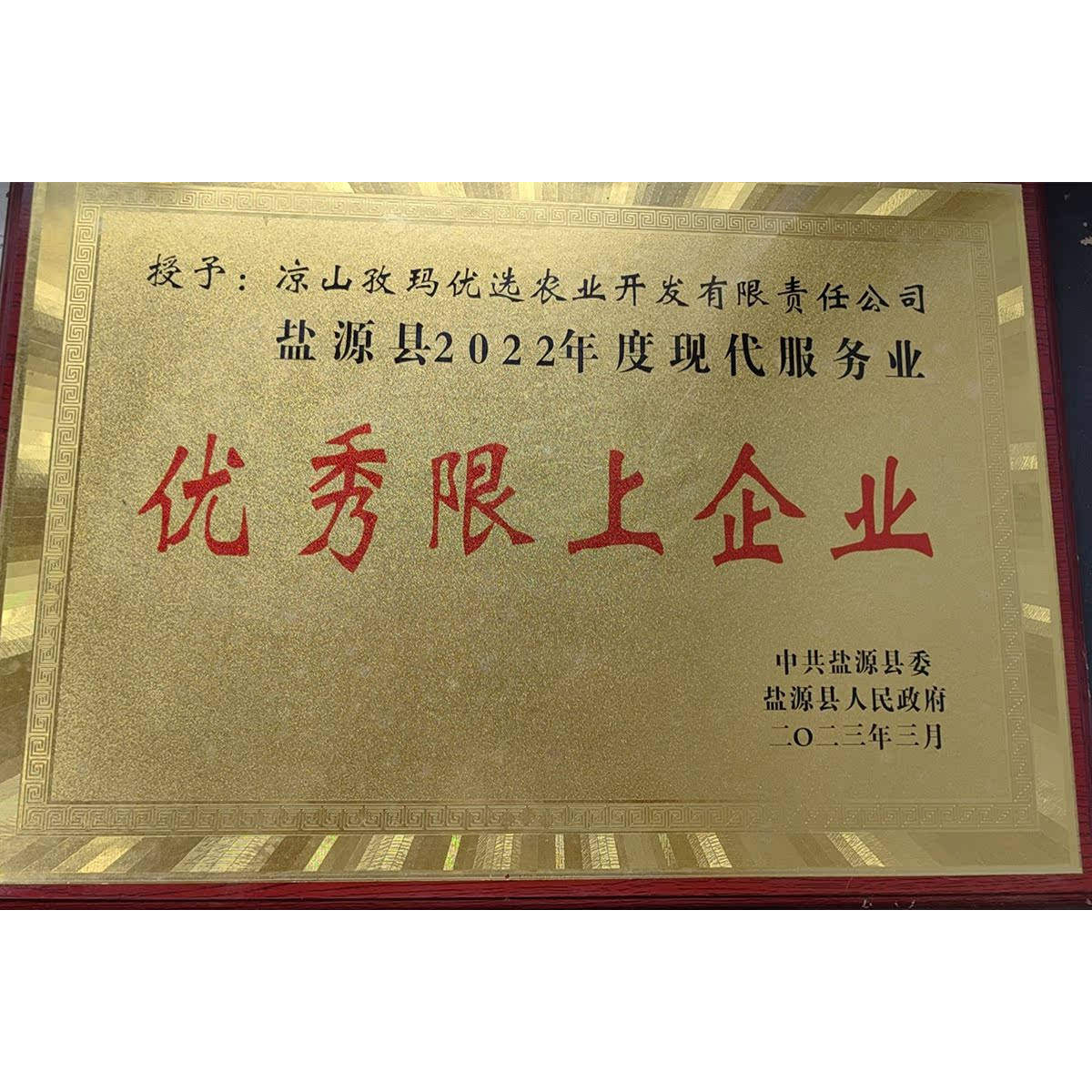 孜玛优选大凉山丑萍果企业店的LOGO
