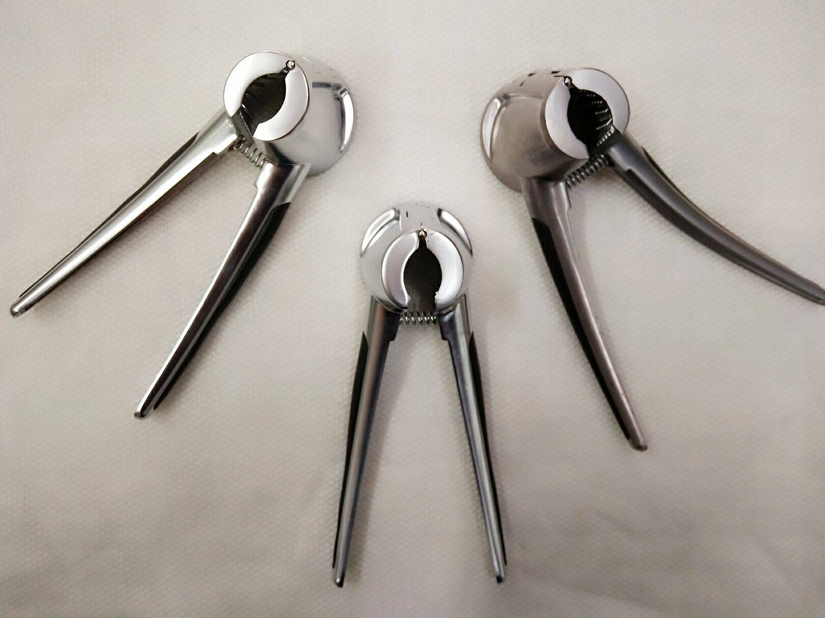 Russian special walnut clip lemon clip nut clip stainless steel material price reduction