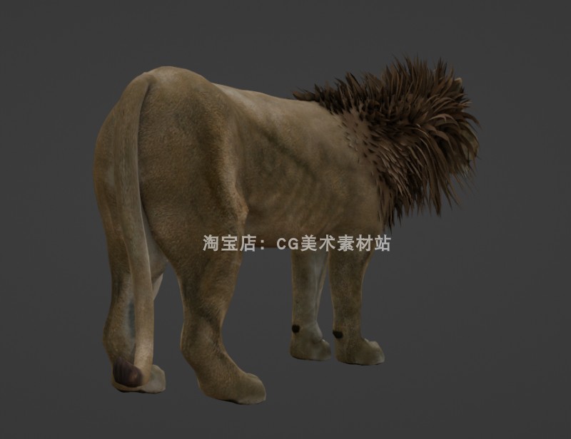 图片[3]-Blender食肉动物森林之王野兽生物狮子骨骼绑定动画3D模型素材-cg男孩