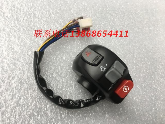 Everest Mountain Leaf ZF125T-7 Majestic 125 Europa 125 Europa King YP125 right hand switch
