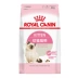 Royal cat food BK34 / 0.4KG cat milk cake - Cat Staples