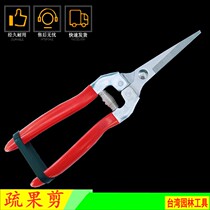 Rare fruit cut picking fruit cut bonsai garden garden cut and thinning flower cut and pruner cut and cut of fruit and cut grape picking